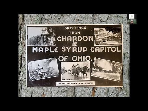 The History of Maple Sugaring & Maple Syrup