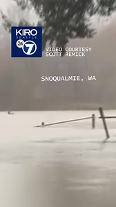 Elk were spotted swimming in a flooded field at Snoqualmie Middle School during the historic flooding in Snoqualmie, Washington. | KIRO 7 News