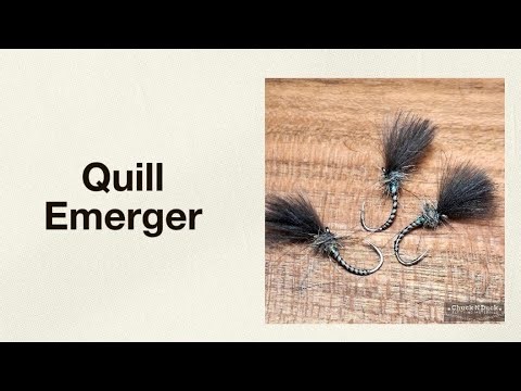 How to tie quill emerger