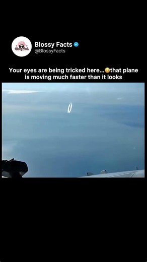 Your Eyes Are Being Tricked by This Plane 😳