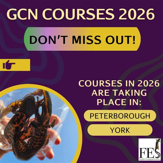 Big News! Our 2026 GCN Courses are officially LIVE! Don’t miss your chance to take part in these highly sought-after workshops, places always fill fast!  Find out more and book your spot here: https://ow.ly/cb4k50U6Qz #GCNCourses #Conservation #WildlifeTraining #Nature | Froglife | Facebook
