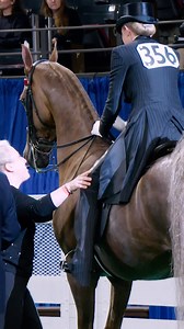 Some people change everything. They see what you're capable of before you do, and they refuse to let you settle. Your trainer is one of those people. This year, let them know. Shop our gift cards and curated collections, because gratitude deserves something thoughtful. https://freedmanharness.com/collections/egift-cards | Freedman's