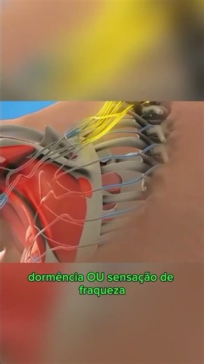 Cervicalgia: when to seek medical help