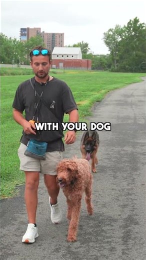 Are your dogs ready for this?