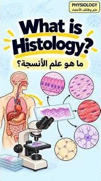What is Histology?
