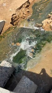 📌Ligueye bi awna yoonn✅🇸🇳 | Ndongo Diop