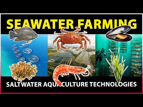 Seawater Farming (Mariculture) | Saline / Saltwater Agriculture | Aquaculture