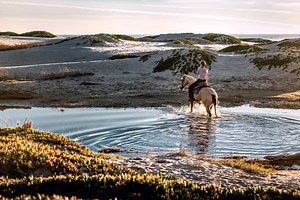 All About Horseback Riding (From Lessons to Leasing)