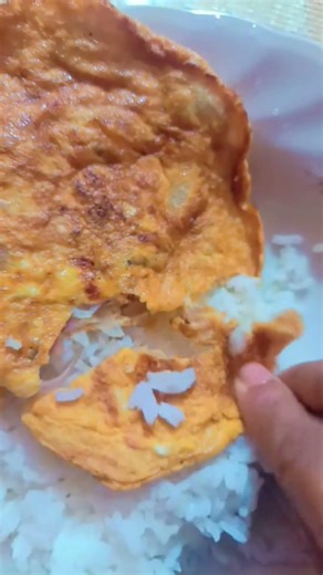 গরম গরম সাদা ভাত সাথে একটা ডিম ভাজি হলে শেষ স্বাদ 😋#everyone #food #youtubeshorts