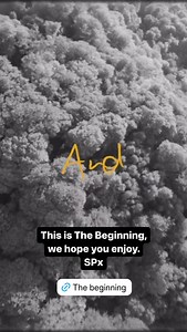 22 reactions | Snow Patrol on Reels | Facebook