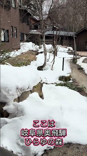 #奥飛騨温泉郷 #ひらゆの森 #最高の温泉宿#おすすめ