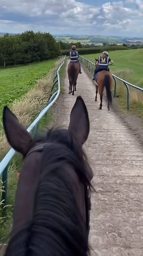 Back for his third spell in Britain! 🇬🇧🇭🇰 Vincent Ho riding out this morning at Johnston Racing before being thrusted into action at @ponteraces tomorrow. #HKRacing | 📽️ @vincentho.official | Hong Kong Racing