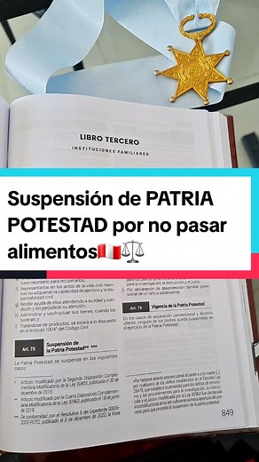 SUSPENSIÓN DE PATRIA POTESTAD por no pasar alimentos ? ART. 75CNA INC F Recuerda que para que se pueda suspender la Patria Potestad por no pasar alimentos, debe estar mínimo en Fiscalía o Juzgado Penal #patriapotestad #tenenciaresponsable #alimentos #pensionesalimenticias #derechoshumanos #derechodelniño #derechodefamilia #abogadostiktok #abogados #peru🇵🇪