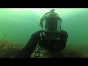 Diver Full Face mask Interspiro