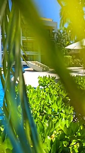 3.2K views · 30 reactions | At #SecretsAuraCozumel, the pool and...