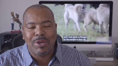 BEST DOG BREEDS FOR HOME PROTECTION: NO TRAINING NECESSARY