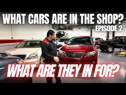 What Cars Are In My Shop? And What Are They In For? Episode 2