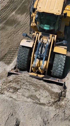 Hats Off To The Bull! #shorts