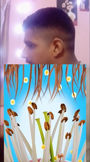 131K views · 1K reactions | When Robots Try to Replace Bees #FutureTechnology #ArtificialPollination #SaveTheBees #Innovation #NatureVsTech #ScienceFacts #EcoFuture | Journey To The Universe | Facebook