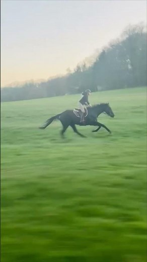 Equestrian Riding a Majestic Black Horse Unleashing Its Full Speed