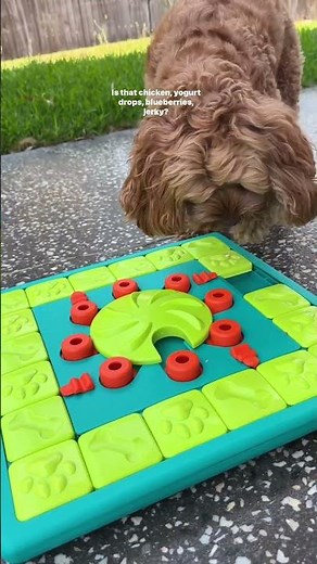 Nina Ottosson Multipuzzle