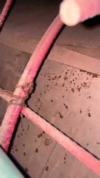 It’s actually happening! #engineering #tunnel #concrete #Minecraft #construction #civilengineering