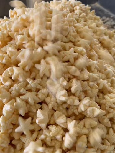 Puffed Snacks Production Line Machinery Explained