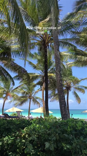 The little paradise of Diani where Palm trees dance in sync🌊🌴. #dianibeachkenya #magicalkenya #adventure #coldplay #beach
