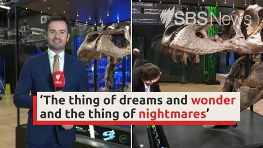 T-Rex heads down under