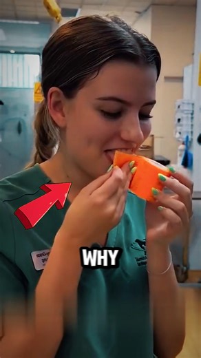 Dogs HATE These…⁉️