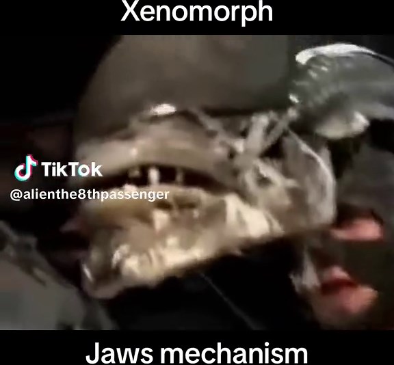Unlocking the Alien Jaws Mechanism: Practical Effects and Animatronics