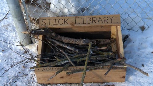 Saskatoon father and son duo make stick library for dog parks in the city