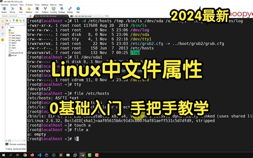 【Linux基础】11.Linux中的文件属性