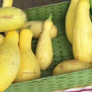 Buy local at the Gwinnett Tech Farmer's Market! Meet us at the entrance of Bldg. 600 every Thursday, Noon-2 p.m. to get your fresh veggies grown right here on our campus farm! #organic #farmersmarket | Gwinnett Technical College