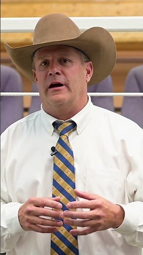 Adding Value With AngusLink®