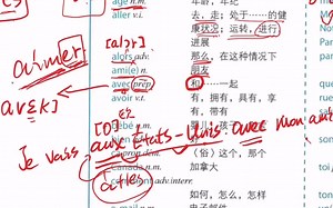 1034.【A1】介词Avec基础用法入门 + 主有形容词 Votre 精讲【法语语法】【法语词汇】