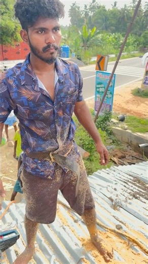 anbu tree cutting work#tree#treecutting