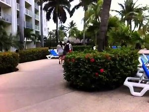 Renaissance Aruba Resort Overview