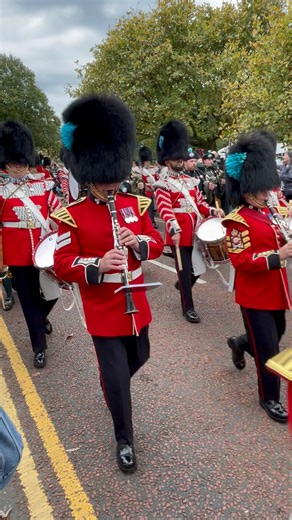 Incredible performance from the Irish Guards through Bangor💂🏼‍♀️ 🥁🇬🇧👏🏻 | Stephen Dunne MLA