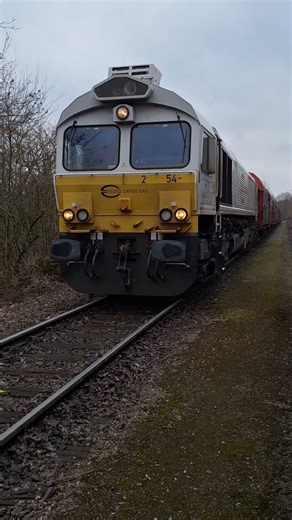 Baureihe class 77#train