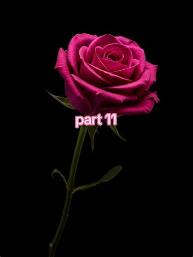 Roblox History: Part 11 Breakdown