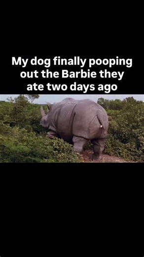 12K views · 67 reactions | It came out in one piece! I think it can...