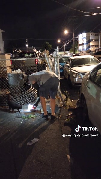 Gregory Brandt (Mr.G) Feeds Street Cats Hawaii Akepo Lane October 18th 2023