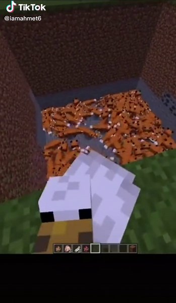 Minecraft Memes: Fun Moments in Gaming