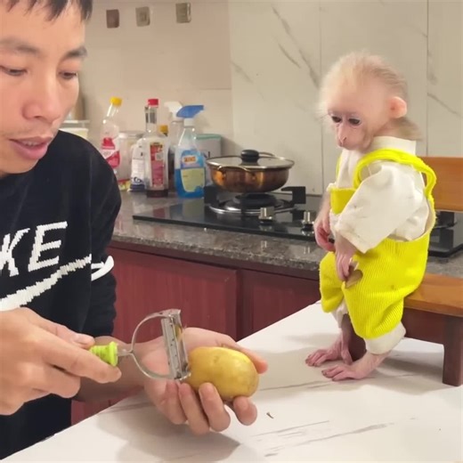 Monkey Assists Uncle in Making Delicious Breakfast Fries