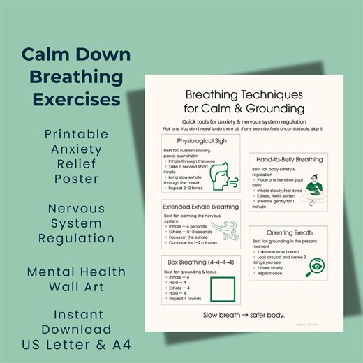 Printable Anxiety Relief Poster Nervous System Regulation Calm Down Breathing Exercises - Etsy