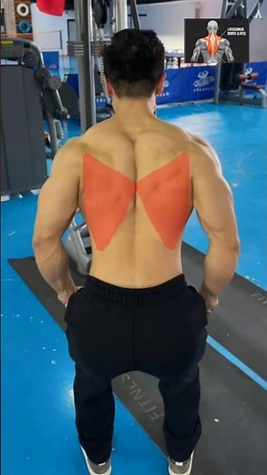 Build a Stronger Back With Just These Gym 🔥 #backworkout #gym #edit #fyp