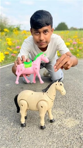 Suto And Boro Duita Remote Control Horse Unboxing Aise Deko 😛