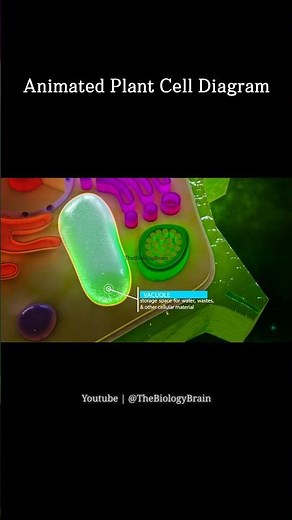Inside a Plant Cell: The Most Beautiful Science! #shorts #plantcell #health #youtubeshorts