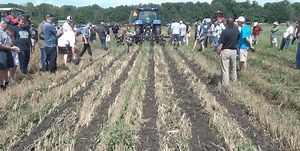 Corn School: Searching For The Perfect Strip Till Berm